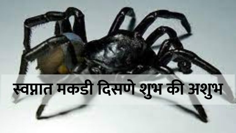 स्वप्नात मकडी दिसणे शुभ की अशुभ